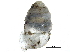  ( - BIOUG24635-G06)  @11 [ ] CreativeCommons - Attribution (2016) CBG Photography Group Centre for Biodiversity Genomics