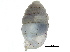  ( - BIOUG24635-G07)  @11 [ ] CreativeCommons - Attribution (2016) CBG Photography Group Centre for Biodiversity Genomics