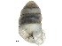  ( - BIOUG24635-G08)  @11 [ ] CreativeCommons - Attribution (2016) CBG Photography Group Centre for Biodiversity Genomics