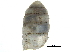  ( - BIOUG24635-G08)  @11 [ ] CreativeCommons - Attribution (2016) CBG Photography Group Centre for Biodiversity Genomics