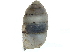  ( - BIOUG24635-G09)  @11 [ ] CreativeCommons - Attribution (2016) CBG Photography Group Centre for Biodiversity Genomics