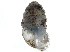  ( - BIOUG24635-G10)  @11 [ ] CreativeCommons - Attribution (2016) CBG Photography Group Centre for Biodiversity Genomics