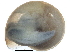  ( - BIOUG24635-H04)  @12 [ ] CreativeCommons - Attribution (2016) CBG Photography Group Centre for Biodiversity Genomics