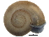  ( - BIOUG24635-H05)  @14 [ ] CreativeCommons - Attribution (2016) CBG Photography Group Centre for Biodiversity Genomics