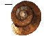  ( - BIOUG27664-D09)  @11 [ ] CreativeCommons - Attribution (2016) CBG Photography Group Centre for Biodiversity Genomics