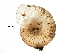  ( - BIOUG27664-F12)  @12 [ ] CreativeCommons - Attribution (2016) CBG Photography Group Centre for Biodiversity Genomics