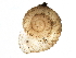  ( - BIOUG27664-G01)  @12 [ ] CreativeCommons - Attribution (2016) CBG Photography Group Centre for Biodiversity Genomics