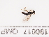  ( - 190017_QMP)  @11 [ ] by-nc-sa (2021) Unspecified Norwegian Institute of Bioeconomy Research