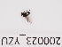  ( - 200023_YZU)  @11 [ ] by-nc-sa (2021) Unspecified Norwegian Institute of Bioeconomy Research