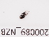  ( - 200089_NZB)  @11 [ ] by-nc-sa (2021) Unspecified Norwegian Institute of Bioeconomy Research