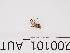  ( - 200101_AUT)  @11 [ ] by-nc-sa (2021) Unspecified Norwegian Institute of Bioeconomy Research