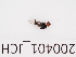  ( - 200401_JCH)  @11 [ ] by-nc-sa (2021) Unspecified Norwegian Institute of Bioeconomy Research