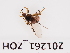  ( - 201261_ZOH)  @11 [ ] by-nc-sa (2021) Unspecified Norwegian Institute of Bioeconomy Research