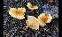  ( - GAJ.16972)  @11 [ ] by-nc (2024) Tapio Kekki Unspecified