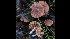  ( - GAJ.16981)  @11 [ ] by-nc (2023) Tapio Kekki Unspecified