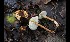  ( - GAJ.16993)  @11 [ ] by-nc (2024) Tapio Kekki Unspecified