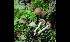  ( - GAJ.17016)  @11 [ ] by-nc (2024) Tapio Kekki Unspecified