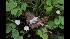 ( - GAJ.17026)  @11 [ ] by-nc (2023) Tapio Kekki Unspecified