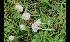  ( - GAJ.17027)  @11 [ ] by-nc (2024) Tapio Kekki Unspecified
