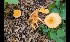  ( - GAJ.17053)  @11 [ ] by-nc (2024) Tapio Kekki Unspecified