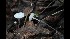  ( - GAJ.17069)  @11 [ ] by-nc (2023) Tapio Kekki Unspecified