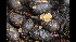  ( - GAJ.17088)  @11 [ ] by-nc (2022) Tapio Kekki Unspecified