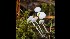 ( - GAJ.17094)  @11 [ ] by-nc (2021) Tapio Kekki Unspecified