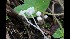  ( - GAJ.17097)  @11 [ ] by-nc (2021) Tapio Kekki Unspecified