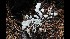  ( - GAJ.17104)  @11 [ ] by-nc (2020) Tapio Kekki Unspecified