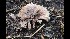  ( - GAJ.17117)  @11 [ ] by-nc (2019) Tapio Kekki Unspecified