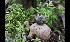  ( - GAJ.17133)  @11 [ ] by-nc (2024) Tapio Kekki Unspecified