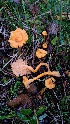  ( - GAJ.18796)  @11 [ ] by-nc (2024) Maarit Vainio Unspecified