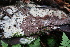  ( - GAJ.18879)  @11 [ ] by-nc (2024) Matti Kulju University of Oulu