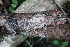  ( - GAJ.18906)  @11 [ ] by-nc (2024) Matti Kulju University of Oulu