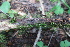  ( - GAJ.18910)  @11 [ ] by-nc (2024) Matti Kulju University of Oulu