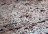  ( - GAJ.19192)  @11 [ ] by-nc (2024) Matti Kulju Unspecified