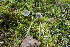  ( - GAJ.19218)  @11 [ ] by-nc (2023) Maarit Vainio Unspecified
