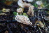  ( - GAJ.19220)  @11 [ ] by-nc (2024) Maarit Vainio Unspecified