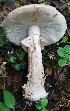  ( - GAJ.19234)  @11 [ ] by-nc (2024) Seppo Huhmarniemi Unspecified