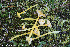  ( - GAJ.19282)  @11 [ ] by-nc (2024) Henri Koskinen University of Oulu