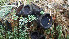  ( - GAJ.19429)  @11 [ ] by-nc (2024) Stefan Jakobsson Unspecified