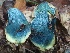  ( - GAJ.19451)  @11 [ ] by-nc (2024) Tuomas P. Hintikka Unspecified
