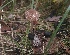  ( - GAJ.19469)  @11 [ ] by-nc (2024) Petri Roponen Unspecified