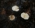  ( - GAJ.19472)  @11 [ ] by-nc (2023) Petri Roponen Unspecified