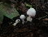  ( - GAJ.19486)  @11 [ ] by-nc (2021) Petri Roponen Unspecified
