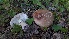  ( - GAJ.19512)  @11 [ ] by-nc (2024) Laura Tarvainen Unspecified