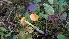  ( - GAJ.19517)  @11 [ ] by-nc (2024) Laura Tarvainen Unspecified