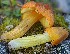  ( - GAJ.19524)  @11 [ ] by-nc (2024) Joona Saraste Unspecified