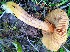  ( - GAJ.19548)  @11 [ ] by-nc (2023) Joona Saraste Unspecified