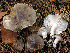  ( - GAJ.19567)  @11 [ ] by-nc (2024) Jarkko Korhonen Unspecified